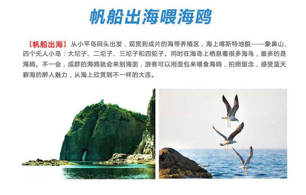 1532009464569837.jpg 海鸥.jpg